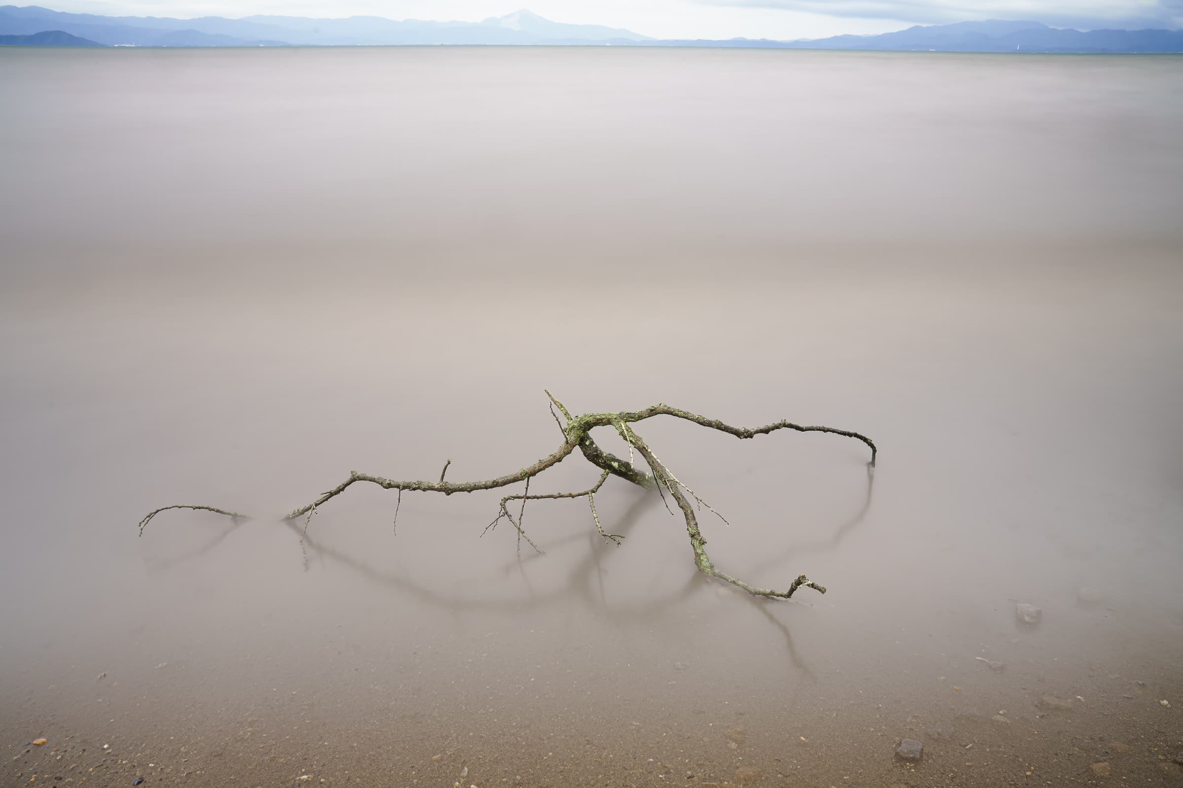 A weathered branch lies partly submerged in smooth water in a long-exposure photograph near the shore of Lake Biwa. Distant mountains line the horizon.