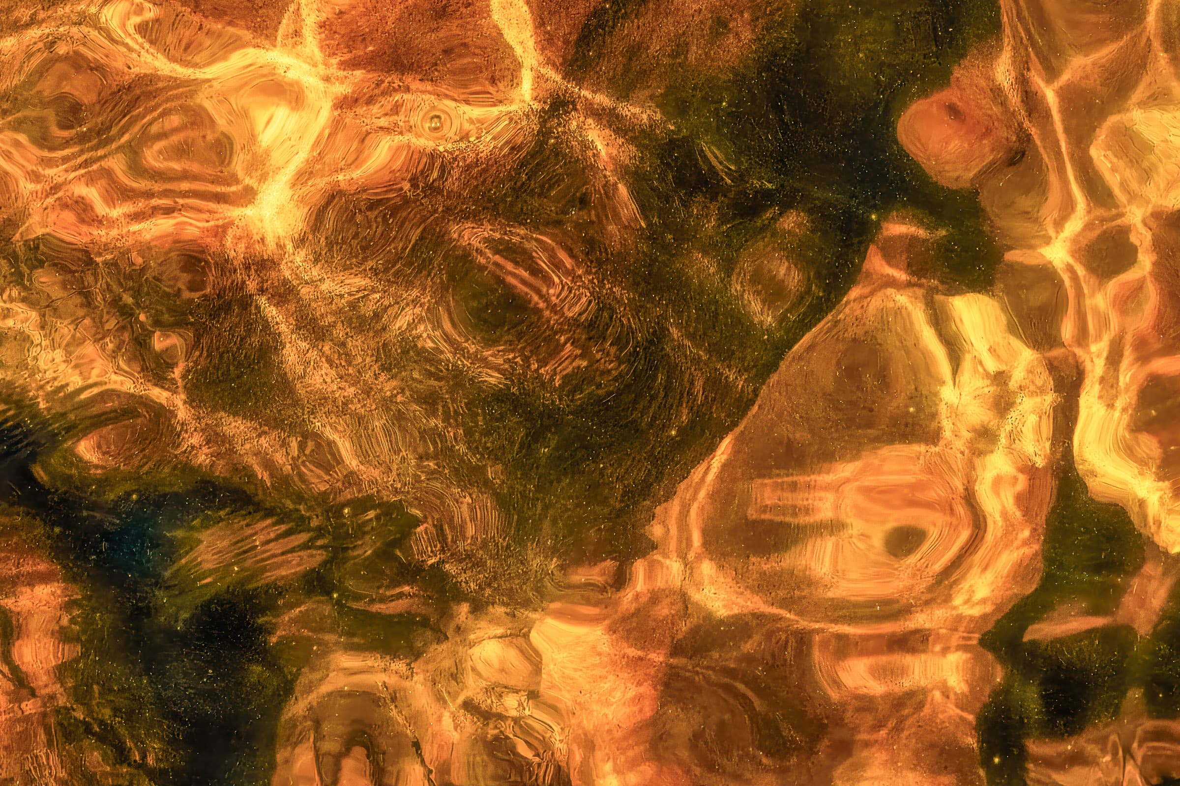 Underwater rocks glow with golden sunlight, their surfaces crossed by rippling patterns of light and shadow. The scene suggests a brief, luminous moment in moving water.
