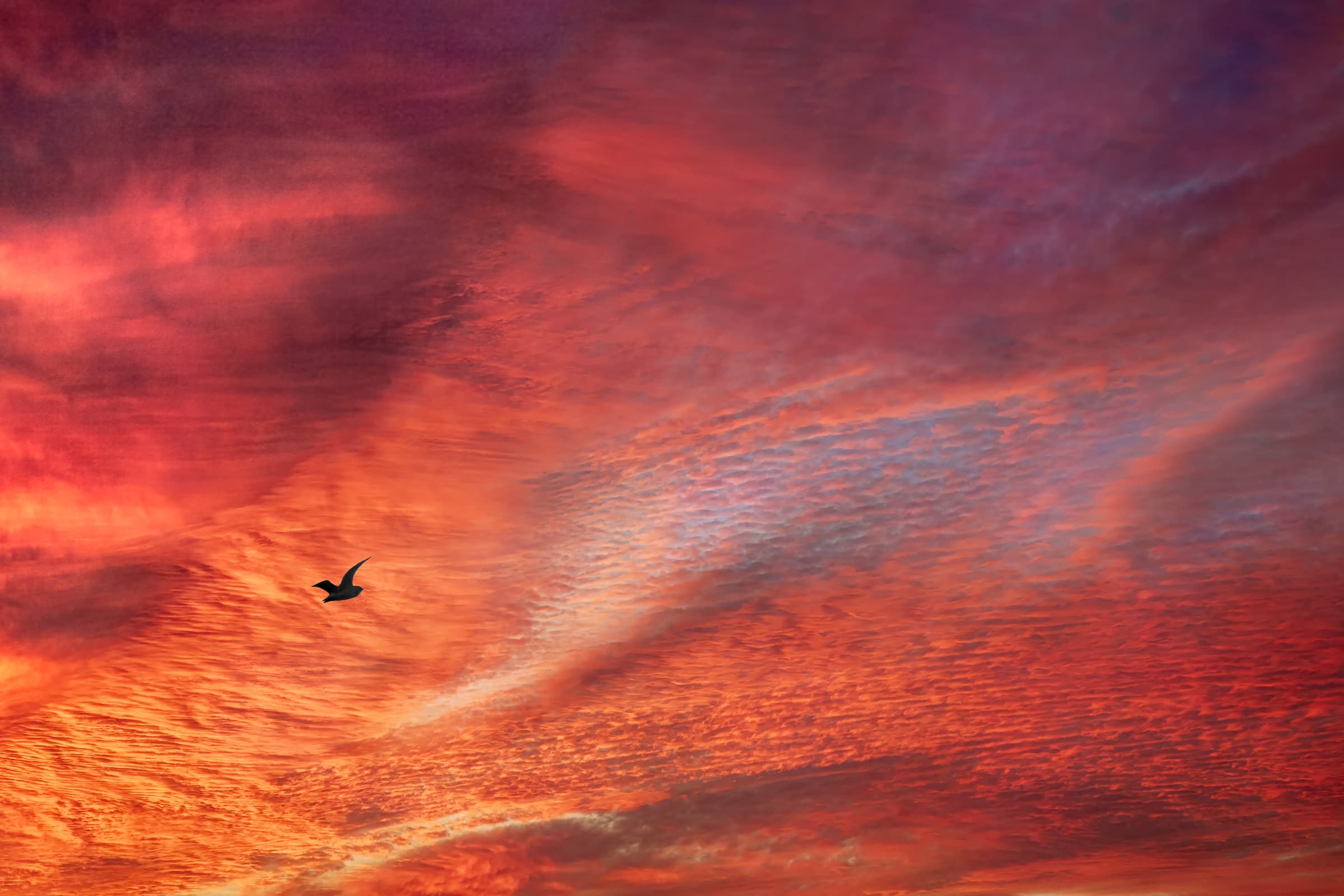 Dawn over ocean
