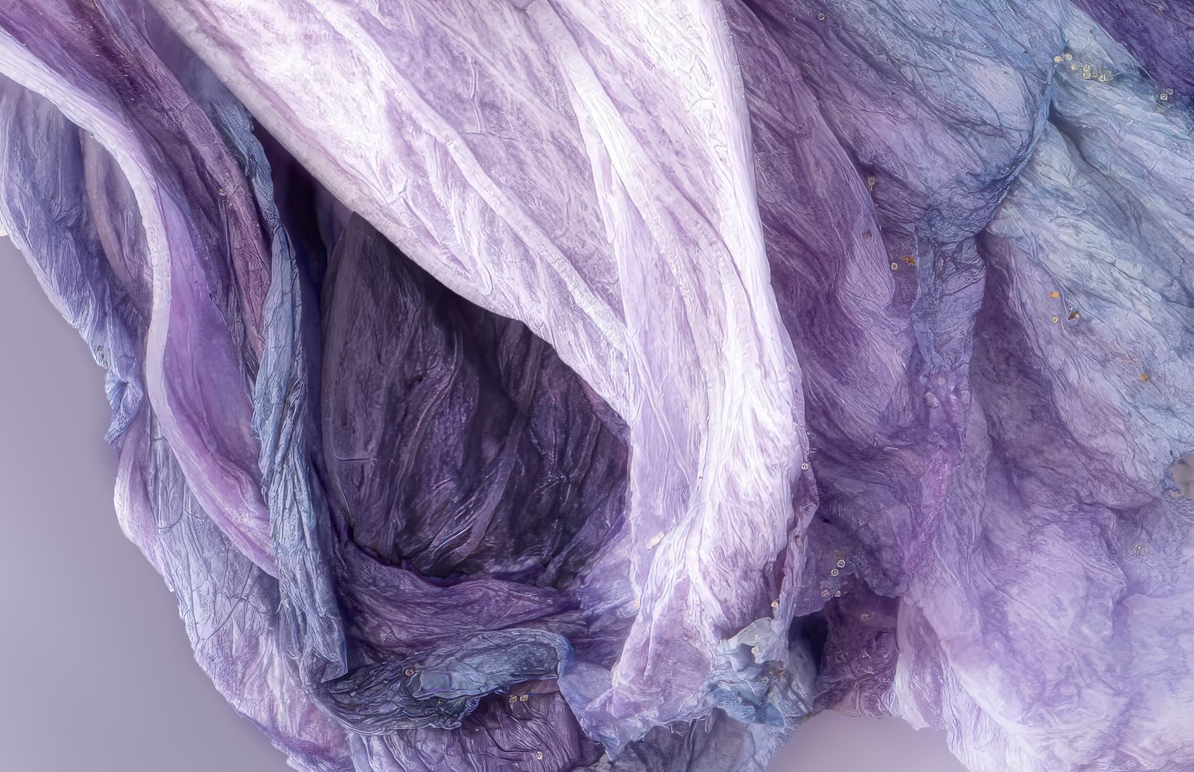 Soft folds of a flower, abstract with organic form, has purple, blue, and cream colors. Folds surround a private darker space in this closeup of a Rose of Sharon flower.