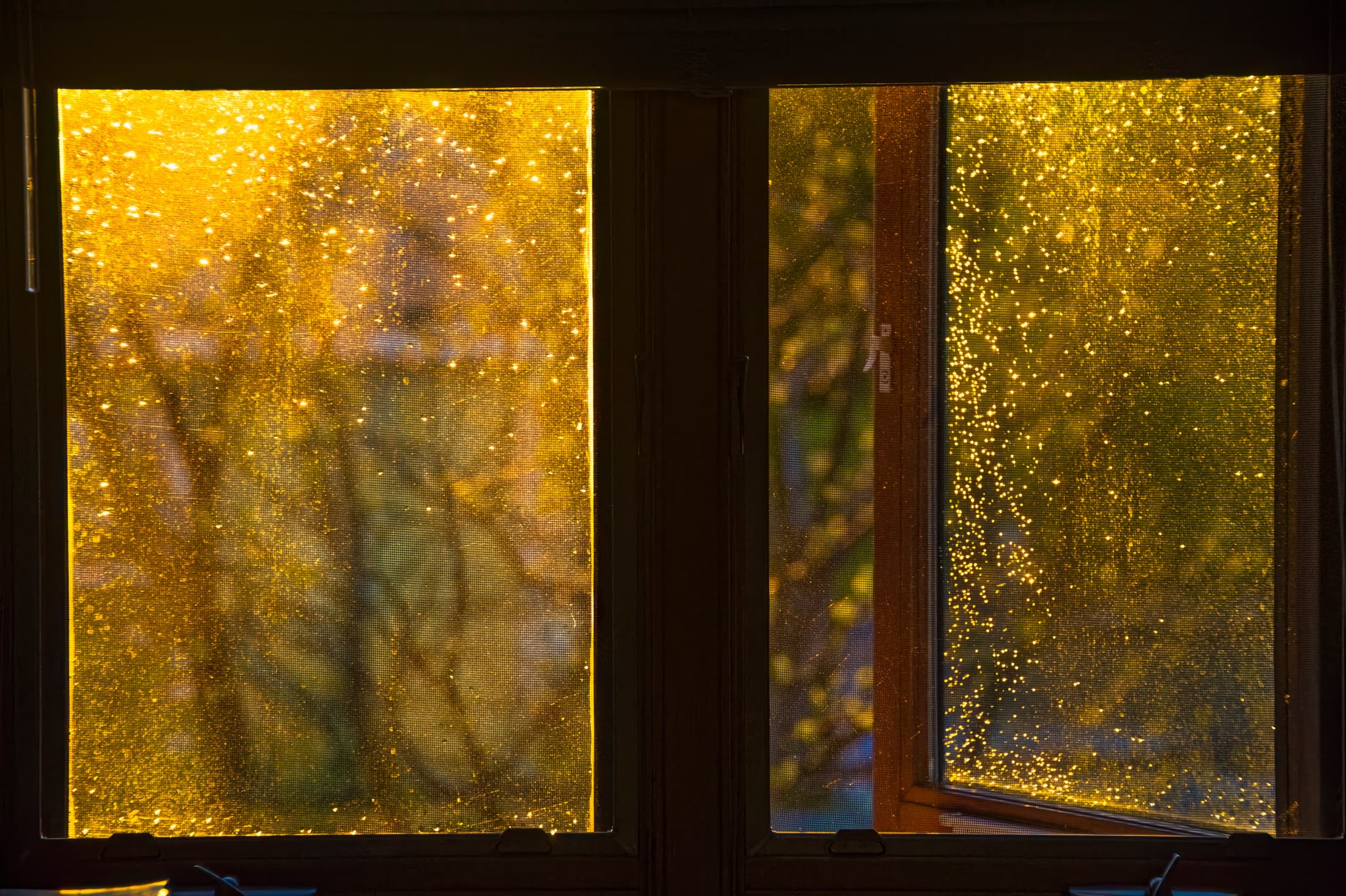 SSchenectady, New York. Golden hour at sunset after rain through side-by-side casement windows. One side of the window opens out and water drops cover both windows. 