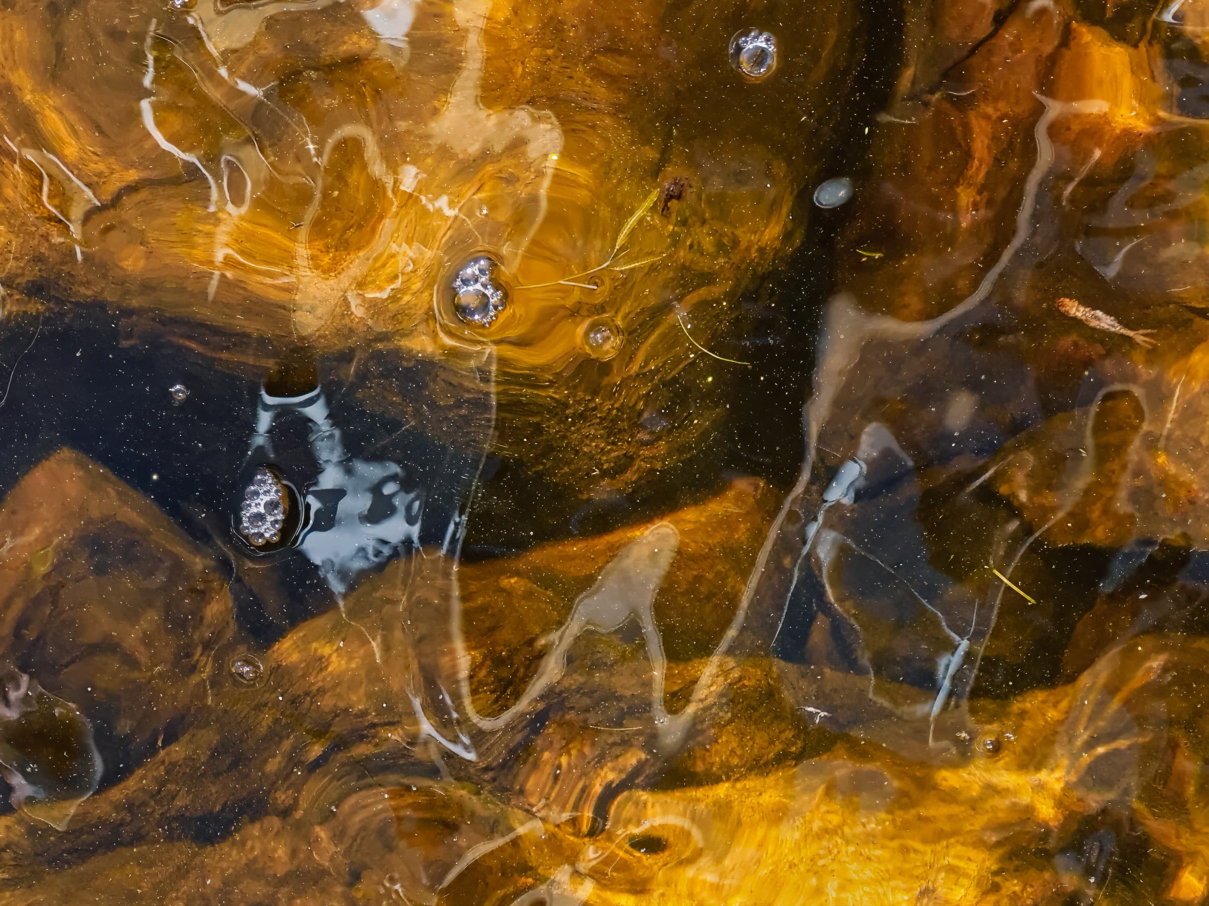 Upper Chateaugay Lake, Lyon Mountain, New York. Abstract photograph of underwater stones with golden tones and bubbles, forming fluid patterns. The image evokes impermanence, energy, and motion.