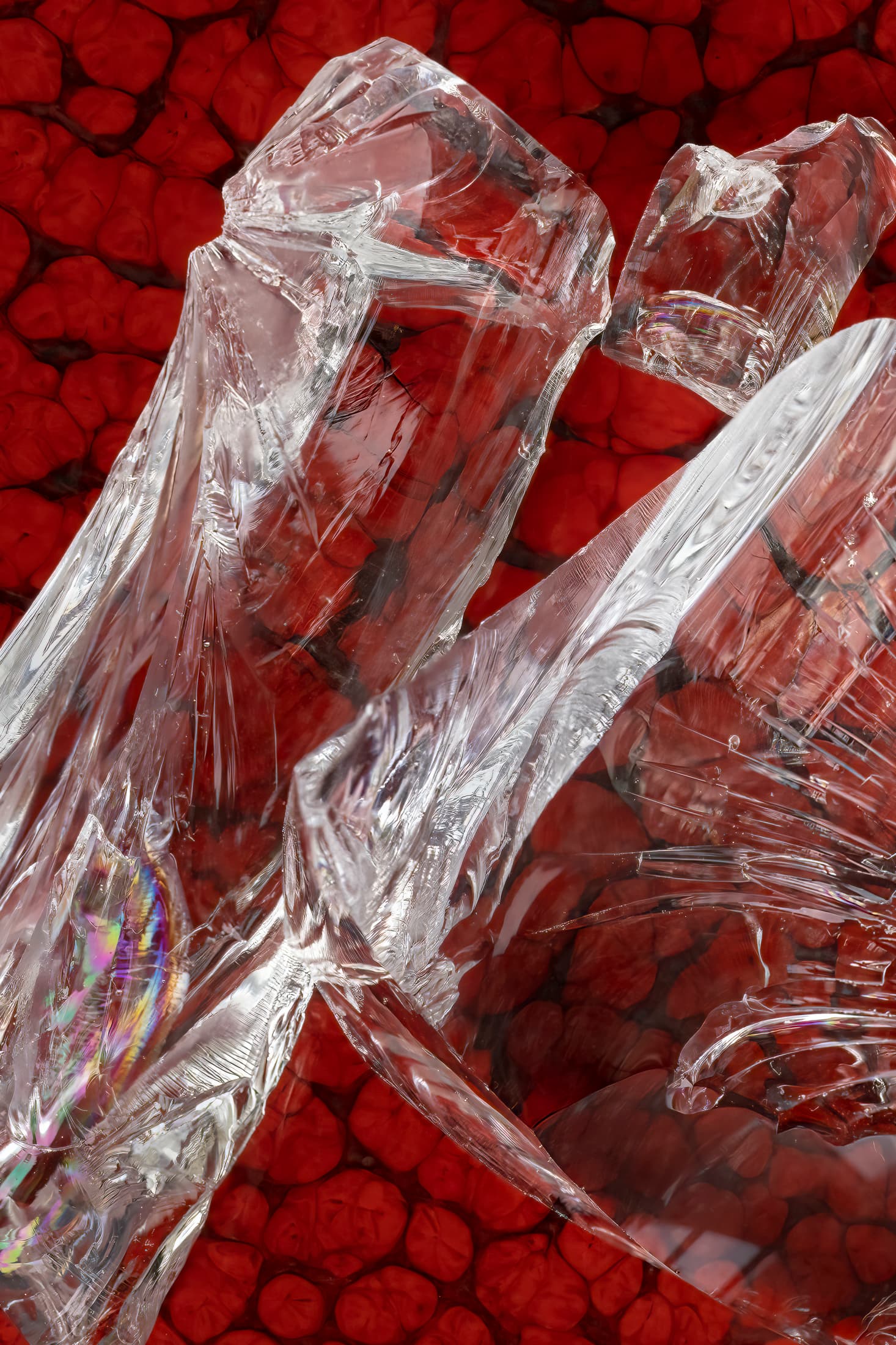 Schenectady, New York. Three broken chunks of glass touch each other in a close manner on red-patterned plate. Fissures in the glass create abstract patterns. 