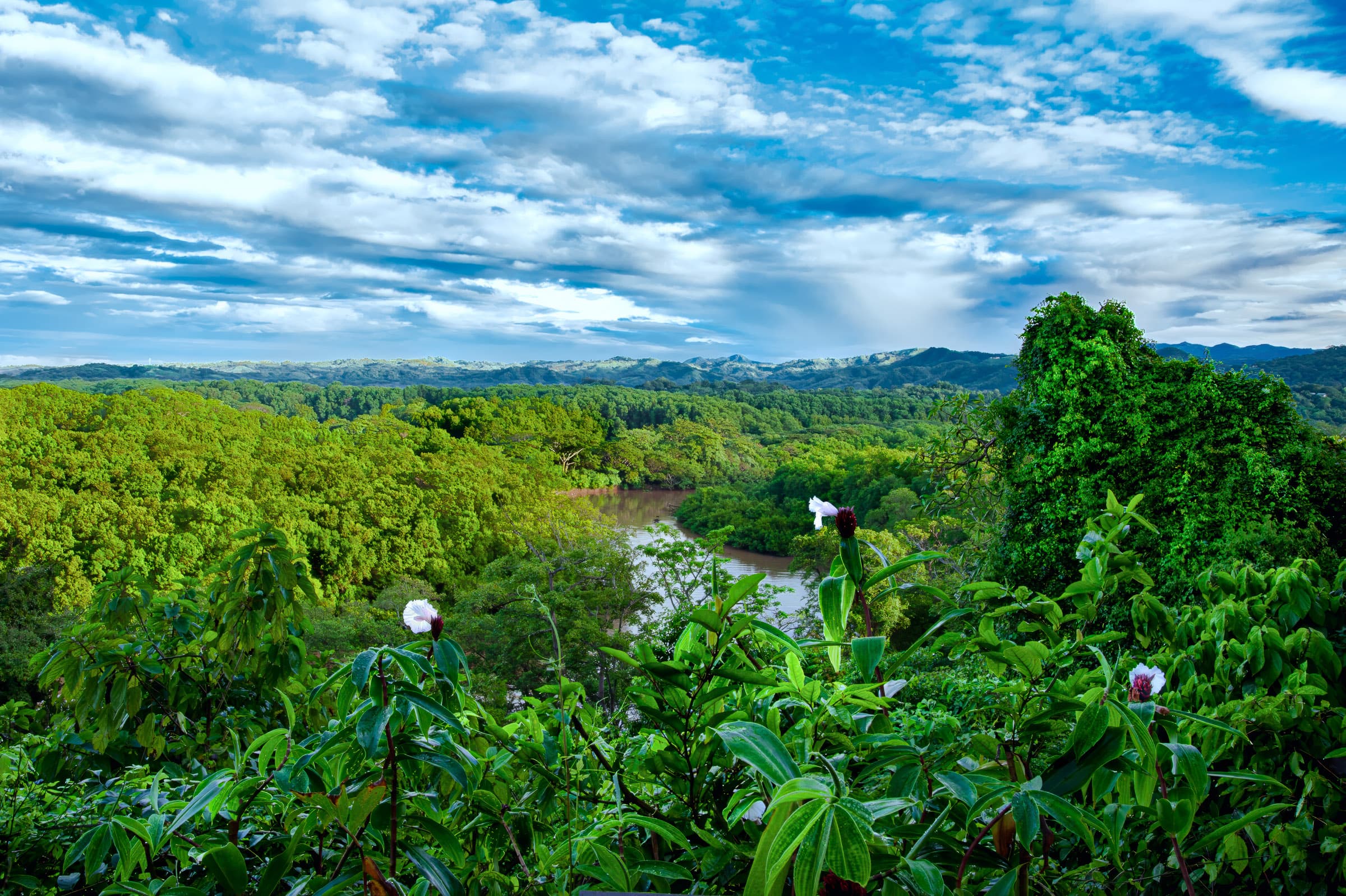 Nosara Biological Reserve, Nosara, Guanacaste, Costa Rica. Majestic, big-picture landscape view of rainforest including green canopy foliage, rainforest river, distant mountains, and sky.