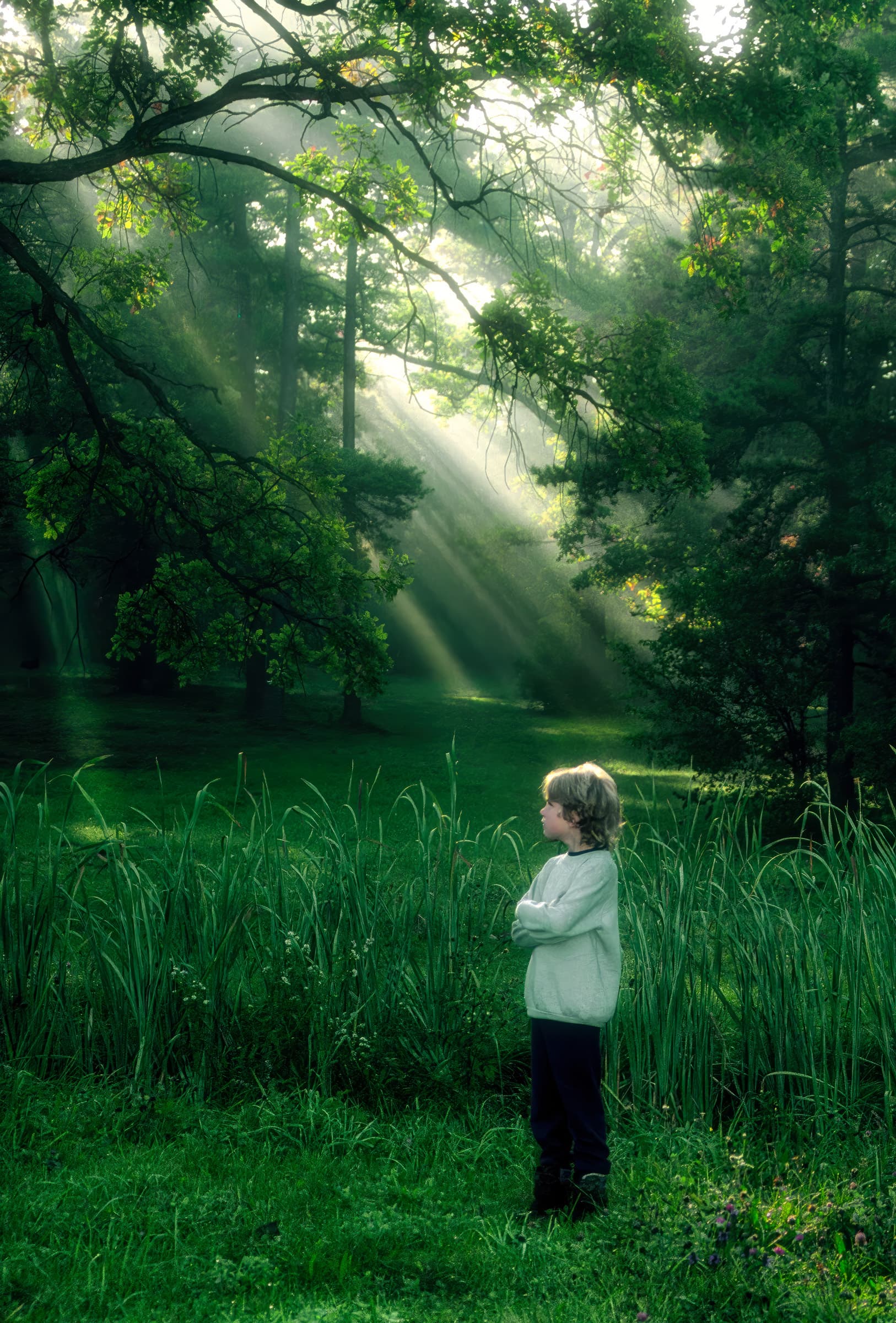 Photograph of a child standing in a forest as sunbeams stream through branches. The scene evokes wonder, innocence, and a sense of lyrical stillness.