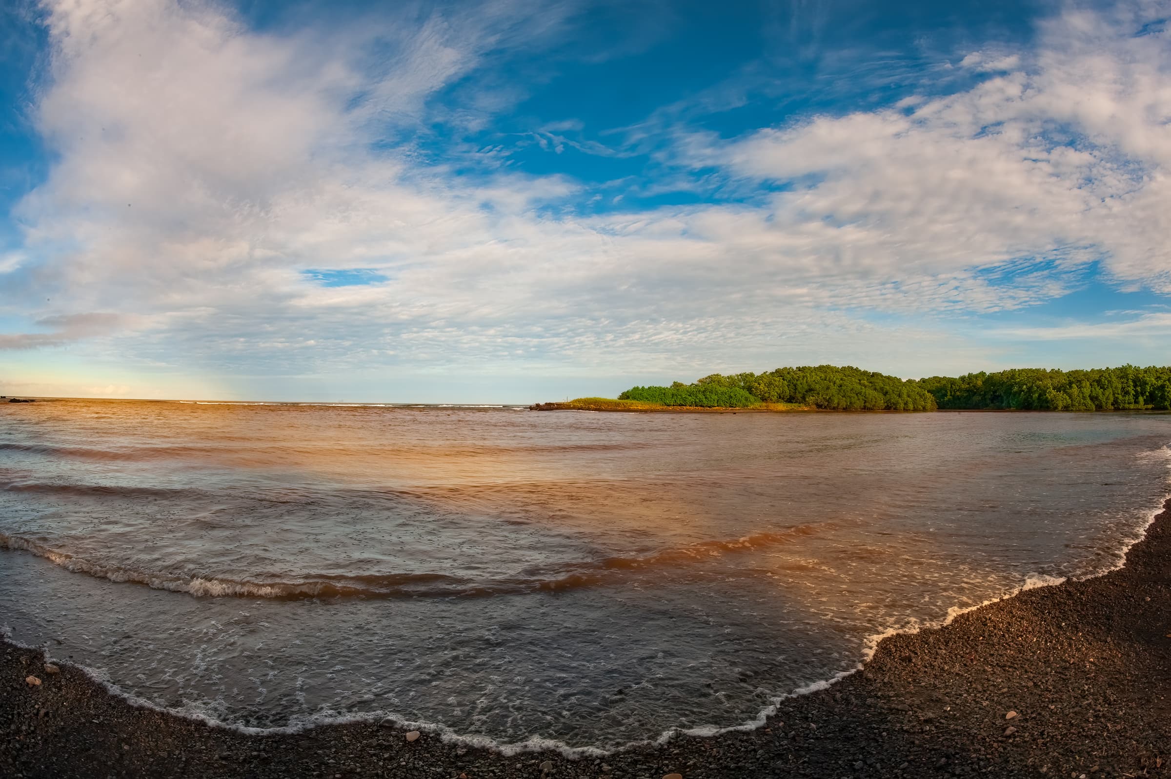Nosara, Guanacaste, Costa Rica. Pacific ocean shoreline with breaking waves in light and shadow. Textured sand and water fill  the foreground, a strip of rainforest trees is seen in the background, and a blue sky with clouds sweeps above the view.