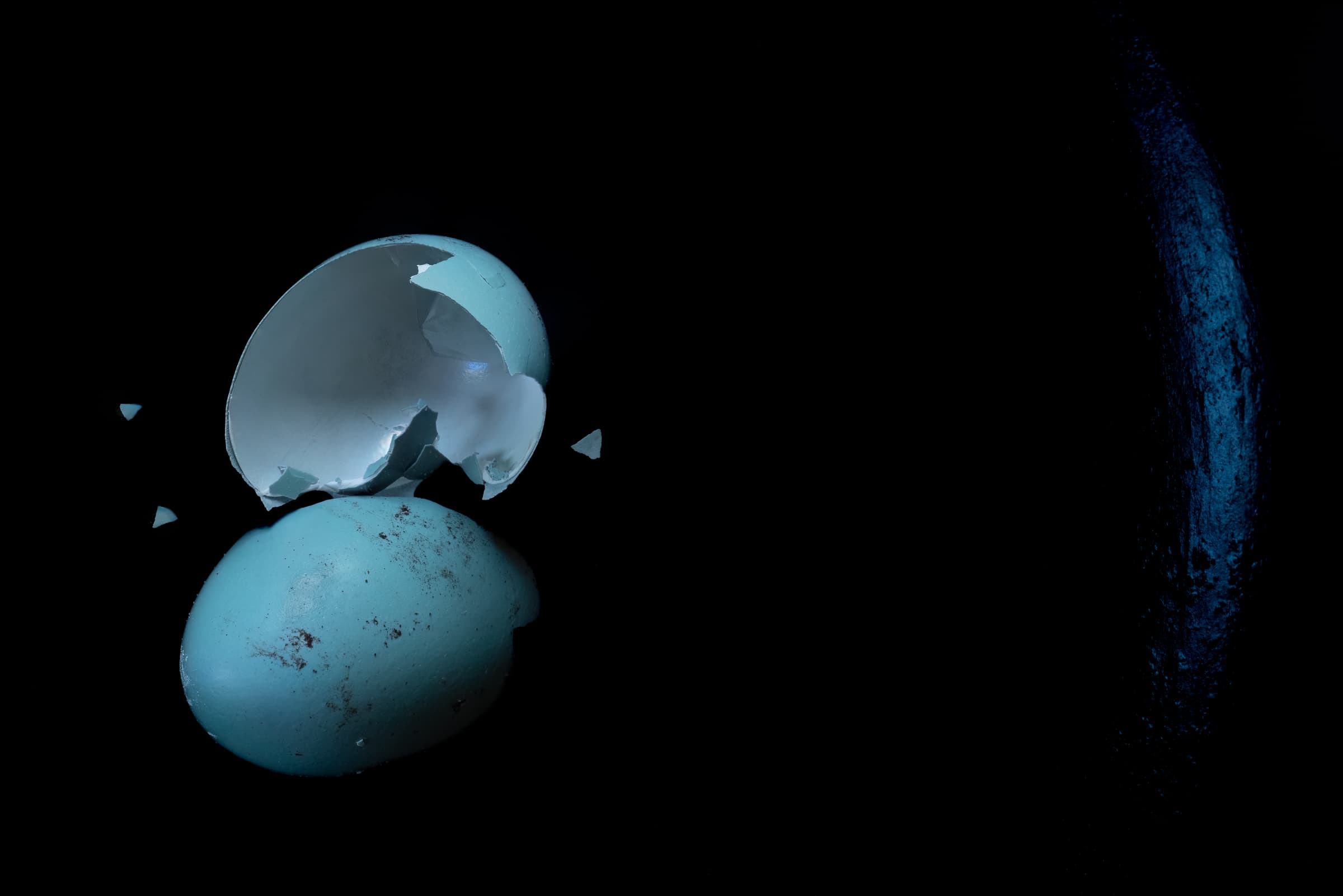 A blue robin's egg cracked open and empty lies on a black background.  A mysterious dark blue and textured curved line is on the right side of the imag