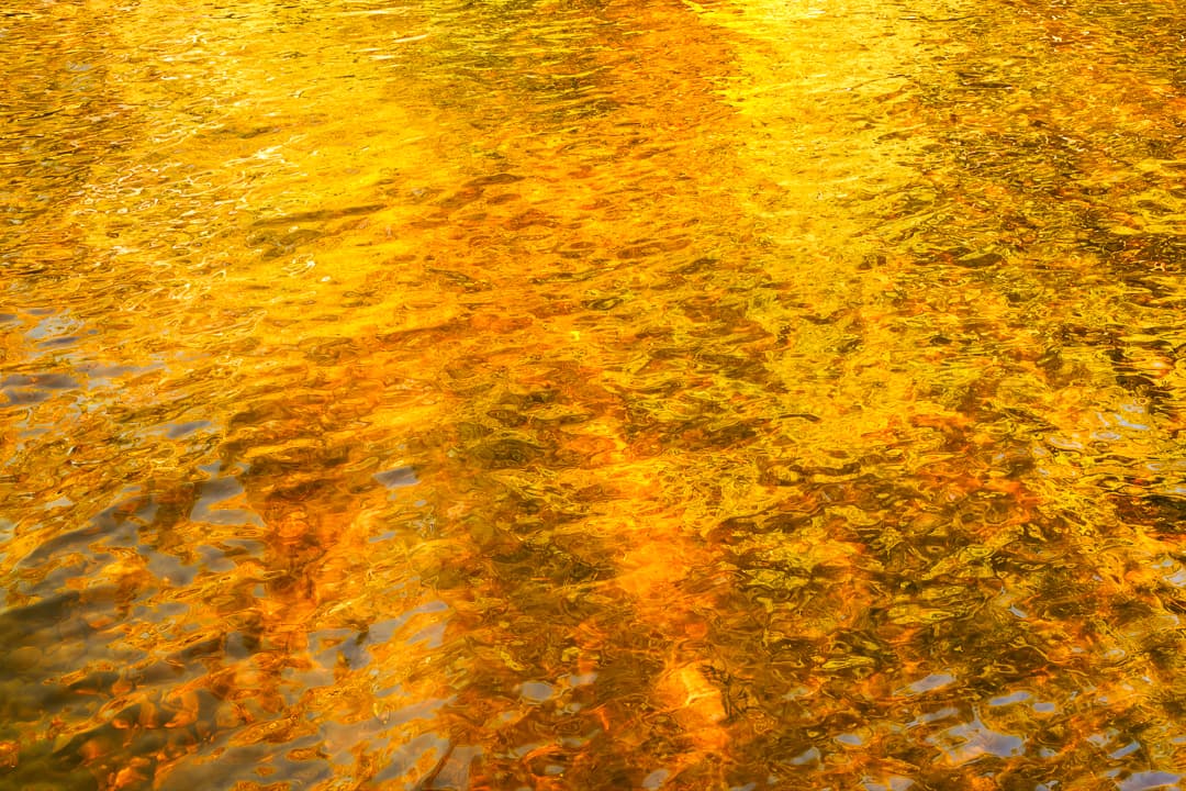 Rippling water covered in bright gold, amber, and orange reflections, creating an abstract surface of flowing light and color. Fine art photograph with a luminous, painterly feel.
