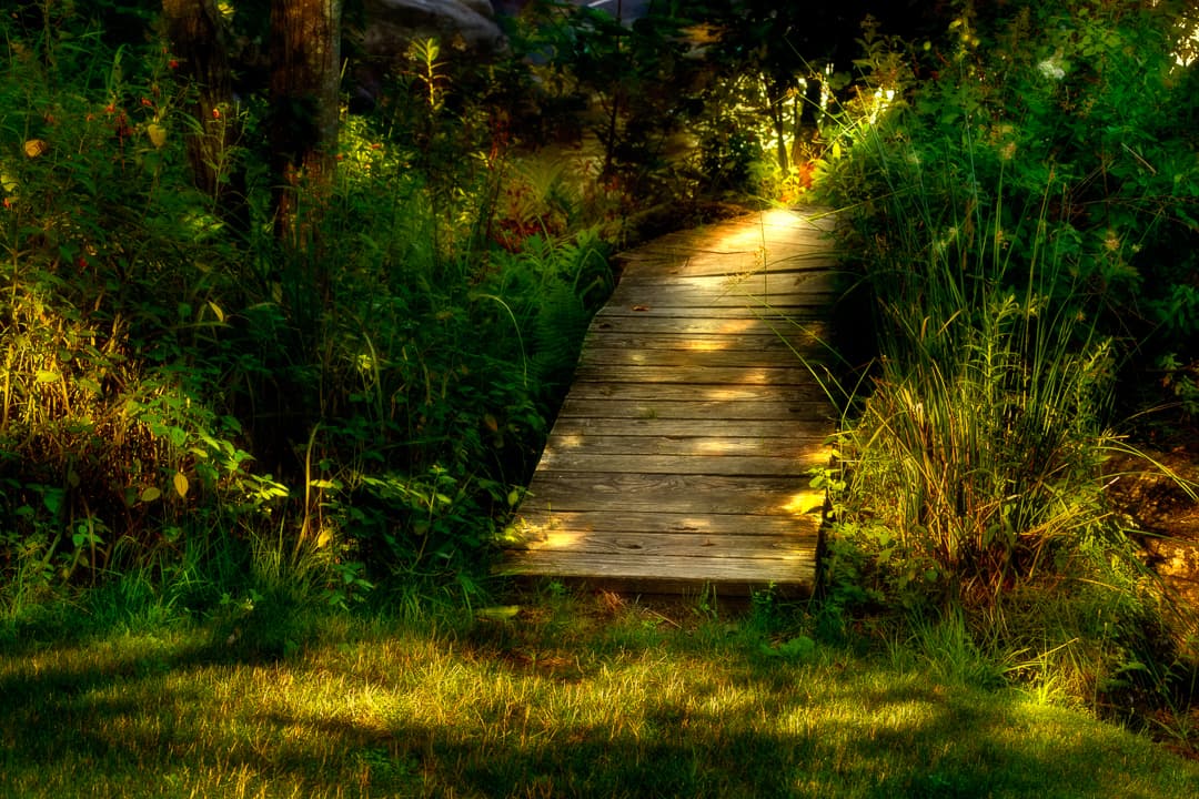 Small wooden bridge or boardwalk lit by dappled light leads from a sunlit lawn into foliage and light beyond. Fine art photograph suggesting invitation, quiet exploration, and a gentle path leading to light.